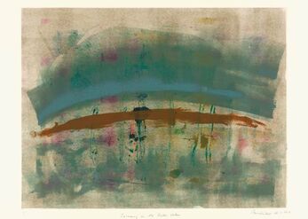 Swimming in the Shallow Waters 2012