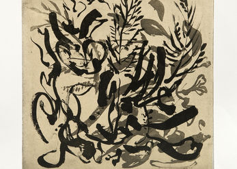 A Bird Amongst the Bushes 50x50 cm Aquatint Sugar lift Etching and Chin Colle $600